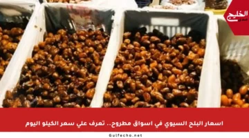 أسعار البلح السيوي في أسواق مطروح.. تعرف على سعر الكيلو اليوم